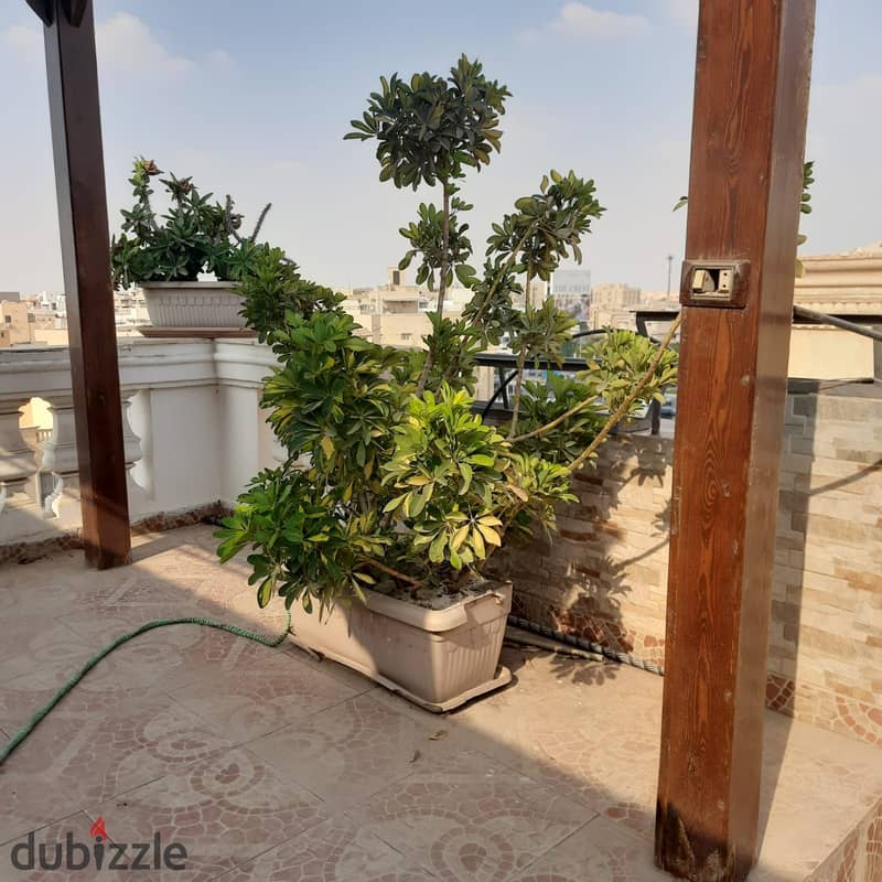 Apartment for sale  320m New cairo  banafseg buildings 0