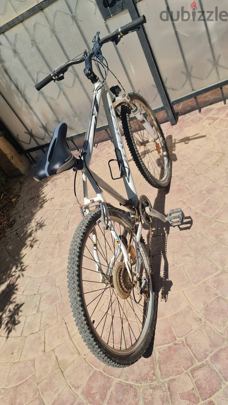 Orbea Mountain Bicycle عجلة اوربيا 2