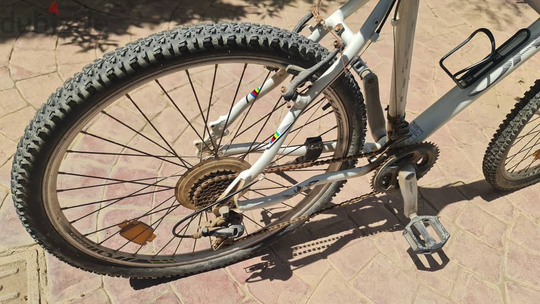 Orbea Mountain Bicycle عجلة اوربيا 5