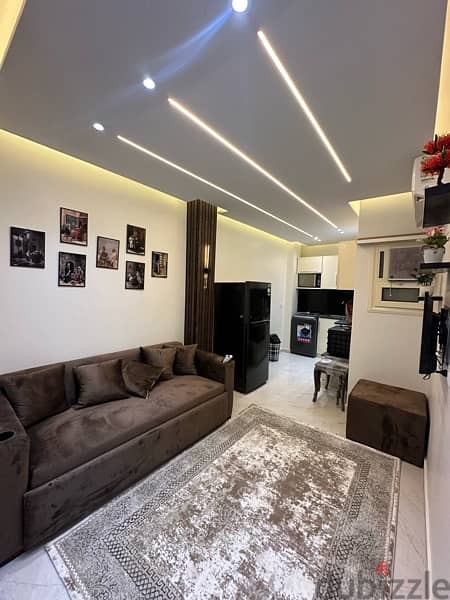 Brand New Flat For Rent 2