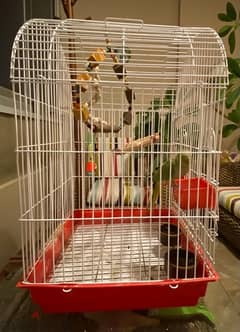 Parrot Cage, perfect condition