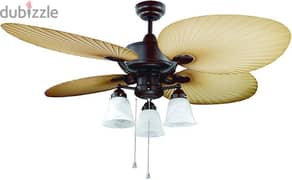 Kian Ceiling fan with lights 0