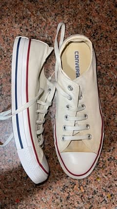 converse white