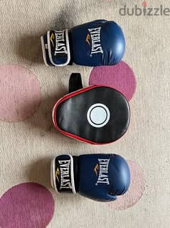 Everlast boxing gloves