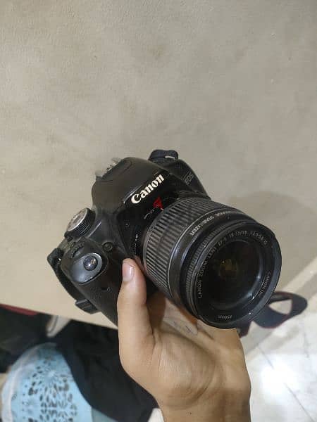 canon 500D كانون 1