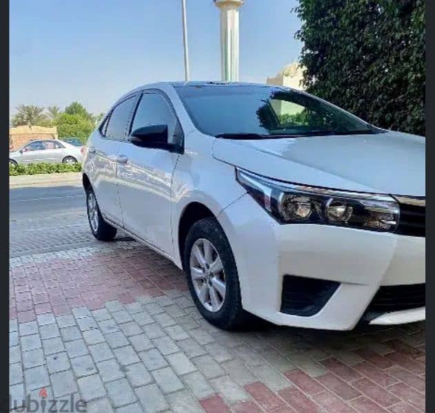 toyota corolla for rent  ايجار سيارة تويوتا كورولا 1