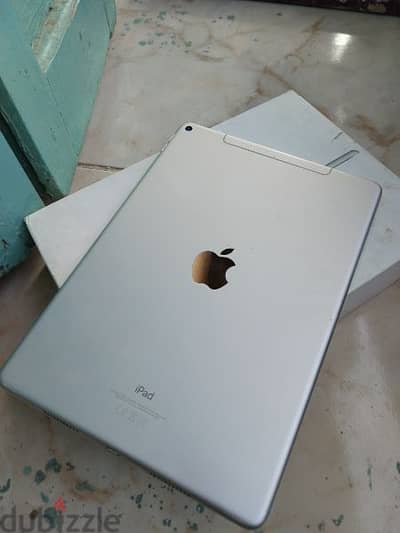 iPad