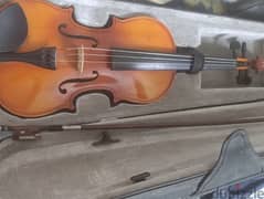 violin