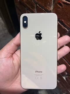 Xs Max 256