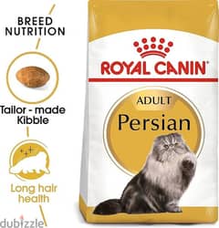 royal Persian adult 10 kg