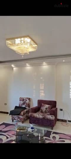 Furnished apartment for rent 200 m in Nasr City behind the International Garden