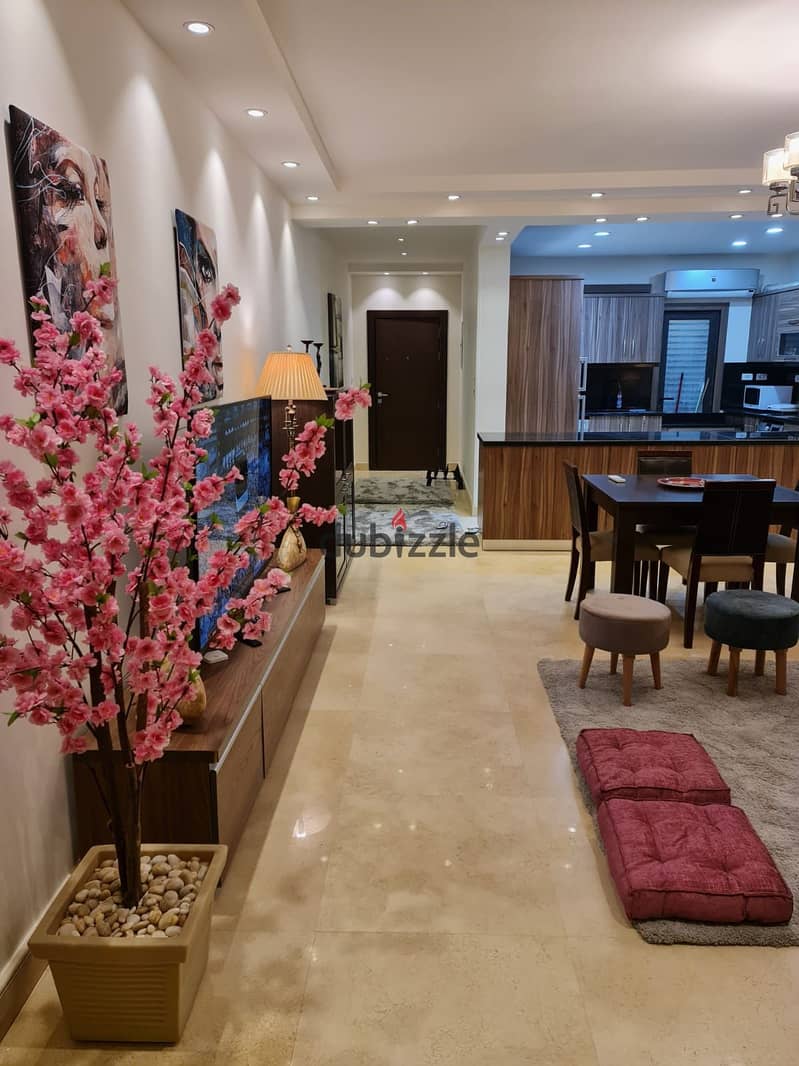 For Rent Modern Furnished Apartment in Compound Lake View Residence 5