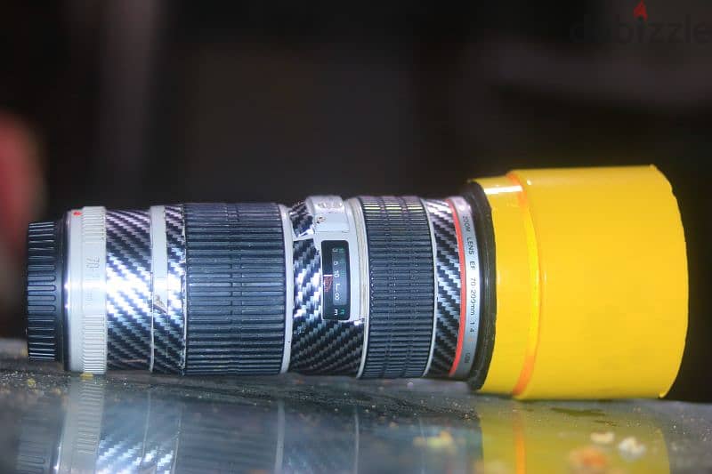 lens 70 200 f4 0