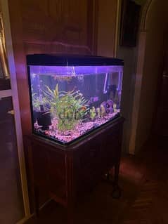 160L Aquarium حوض سمك مستورد مقاس ٨٠