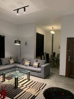 fully furnished apartment for rent from owner