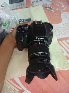 CANON 600D