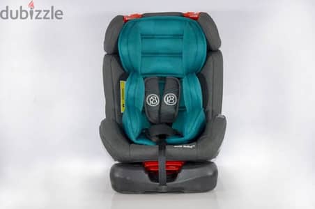 Car Seat Petit Bebe