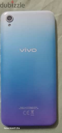 vivo