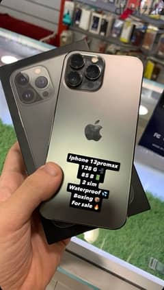 iPhone 13 Pro Max