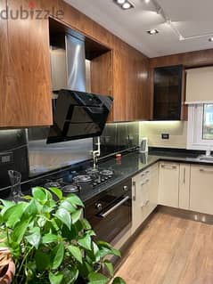 Ivilla in mountain view hyde park fully furnished