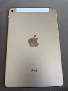 ipad4 mini