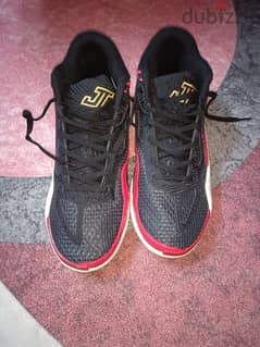 Jordan shoes tutam size 46 for basketball volleyball