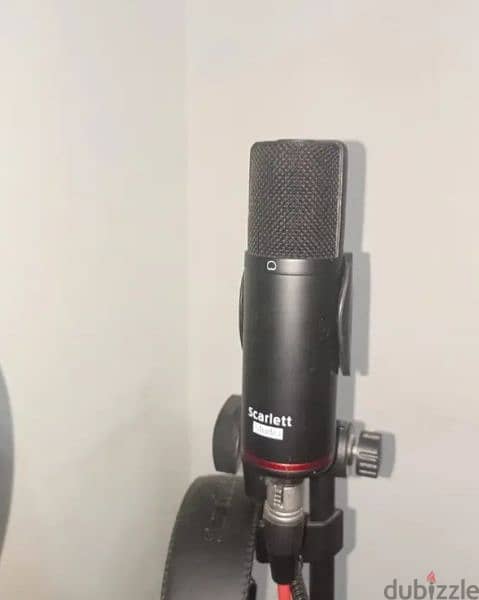 focusrite cm25 mkII microphone used with pop filter and XLR cable 1