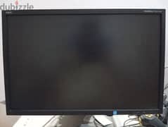 NEC MultiSync EA223wm (22")