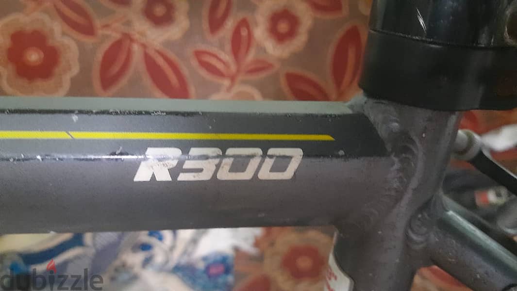 Trinx R300 2