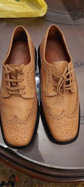 tods original 1