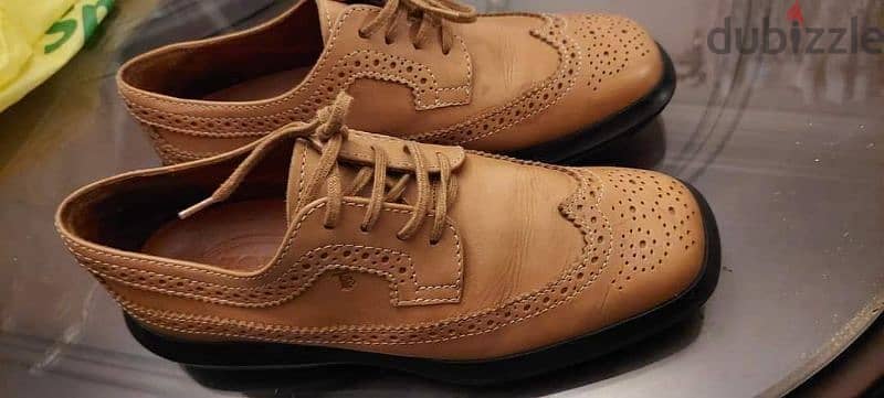 tods original 2