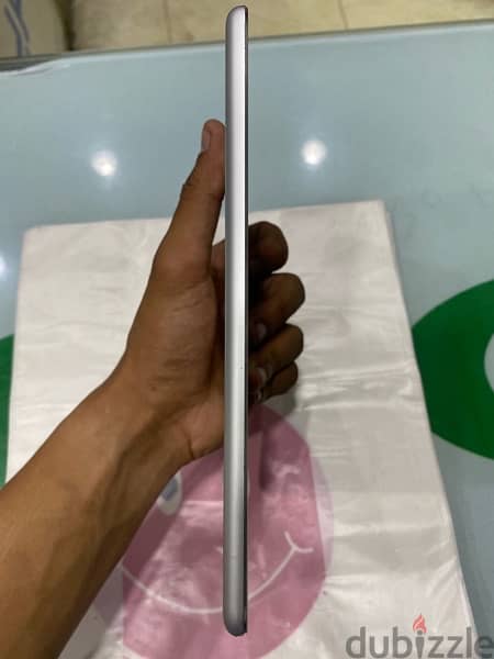 ipad mini 4