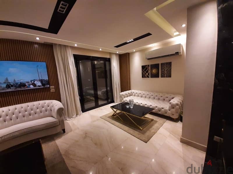 luxurious apartment 0