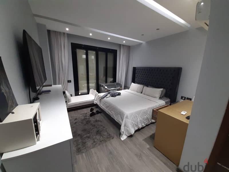 luxurious apartment 4