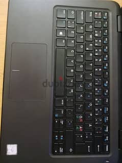 dell 3310