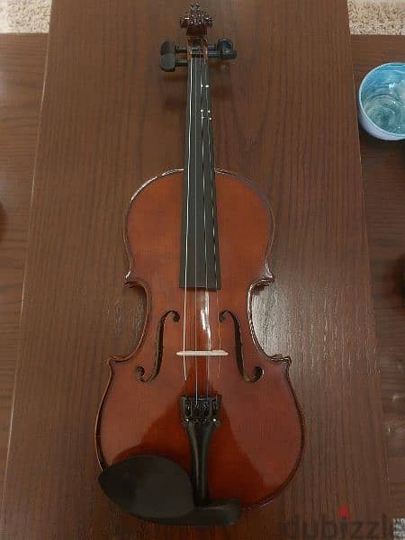 Fitness Violin (barely used) 2