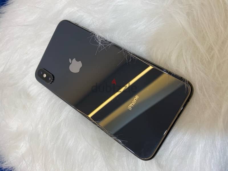 Xs Max 256 g 2