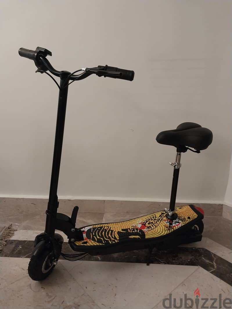 Electric scooter 0