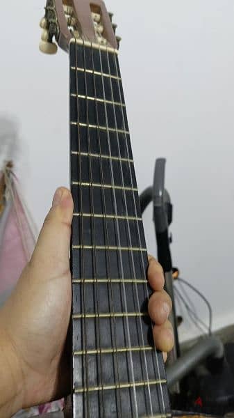 Hohner  Guitar 3