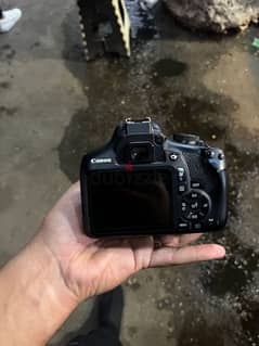 canon 2000d