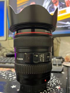 canon 24-105 f4