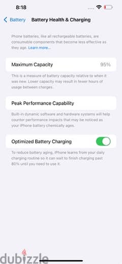 13 pro max (256) Battery 95%