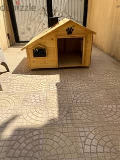 dog house