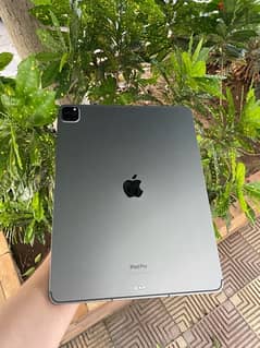 iPad Pro 12.9(inch) m2 (256g+SIM cart) 2022