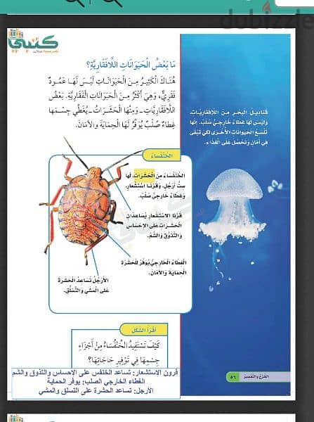 معلمه تاسيس اون لاين 3