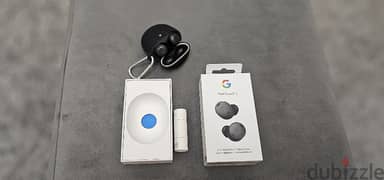 Google Pixel Puds Pro 2