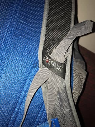 JanSport Agave 32