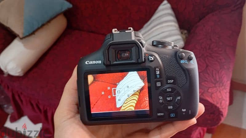 Canon EOS  2000D كاميرا 1