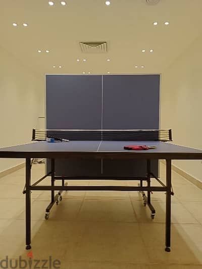 ترابيزه بينج بونج 16 مم ping pong table