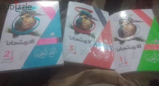 كتب الامتحان للغة العربية فقط جديدة بجلدتها طبعة العام ٢٠٢٥